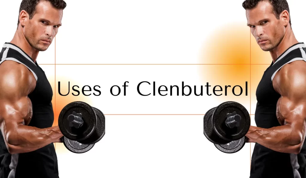 Uses of Clenbuterol